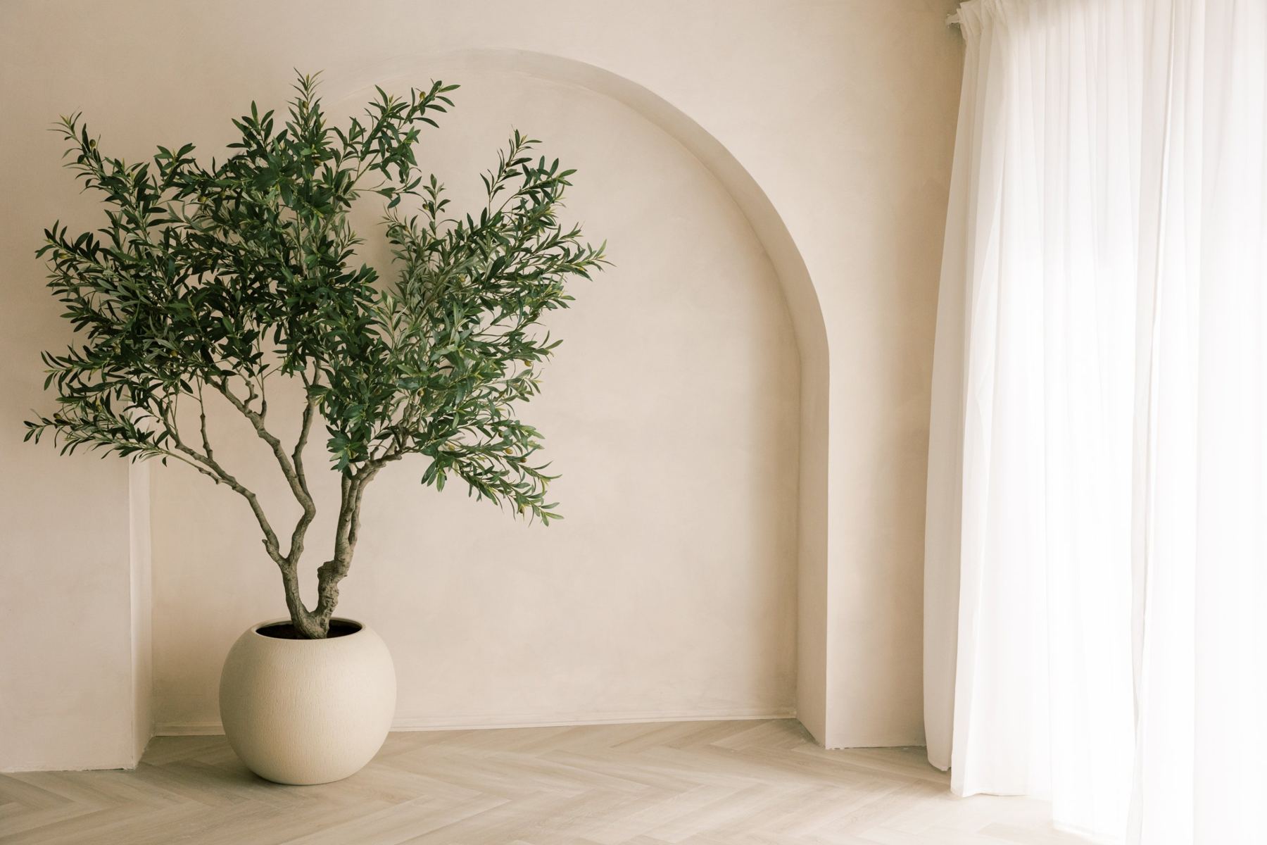 The plaster arch with a potted olive tree in front and sheer curtains glowing with window light